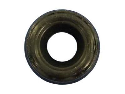 Mopar 68025943AA Grommet