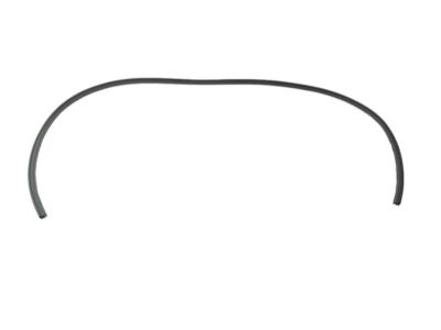 Mopar 5116398AI WEATHERSTRIP-Front Door Body Mounted