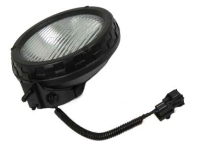 Jeep Fog Light - 55055095AG