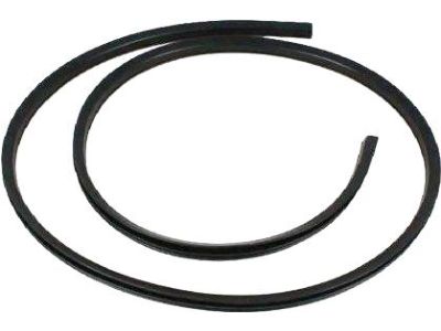 2013 Dodge Avenger Door Seal - 1DZ08XXXAF