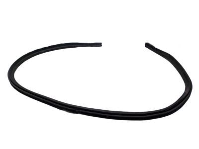 2002 Chrysler PT Cruiser Weather Strip - 4724930AB
