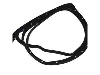 Mopar 5074648AE WEATHERSTRIP-Rear Door Mounted