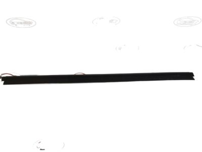 2015 Dodge Durango Weather Strip - 55399208AA