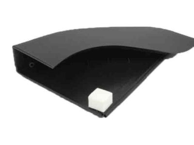 Ram C/V Door Moldings - 5028902AA