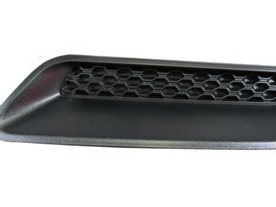 Mopar 68071012AA Bezel-Hood