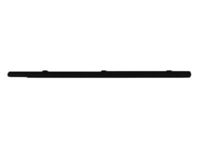 Mopar 55276203AE WEATHERSTRIP-Door Belt