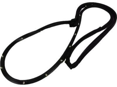 Mopar 68039975AG WEATHERSTRIP-Front Door Mounted