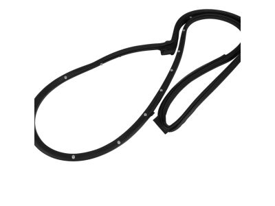 Mopar 68039975AG WEATHERSTRIP-Front Door Mounted
