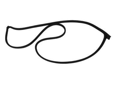 2015 Chrysler 300 Door Seal - 68039975AG