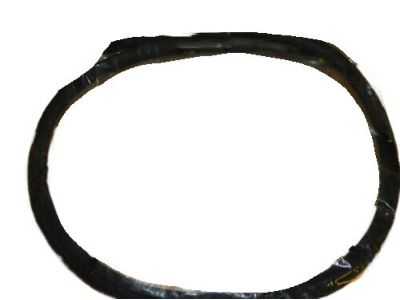 2013 Dodge Dart Weather Strip - 68142655AB