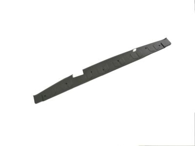 Ram ProMaster City Door Moldings - 5VR62JXWAA