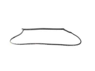 Mopar 68188725AC WEATHERSTRIP-Front Door Opening