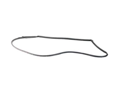Mopar 68188725AC WEATHERSTRIP-Front Door Opening