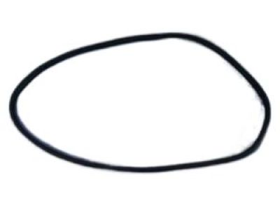 Dodge Durango Weather Strip - 55399256AC