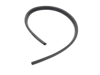 Mopar 68141384AA WEATHERSTRIP-WHEELHOUSE