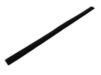 2006 Dodge Durango Weather Strip - 55364346AB