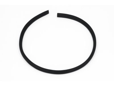 Chrysler 200 Door Seal - 1EK87XXXAD