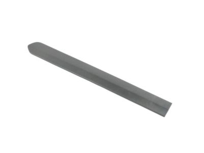 2022 Ram ProMaster City Door Moldings - 5YF70JXWAA