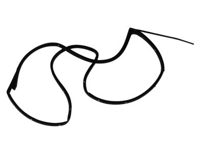 Mopar 55399186AE WEATHERSTRIP-Rear Door Opening