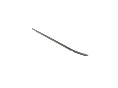 Mopar 68280331AA W-Strip-Front Door Belt