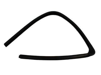 2006 Dodge Ram 2500 Weather Strip - 55276164AF