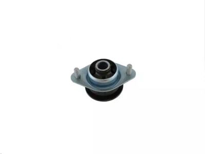 Mopar 68276106AB Body Hold Down