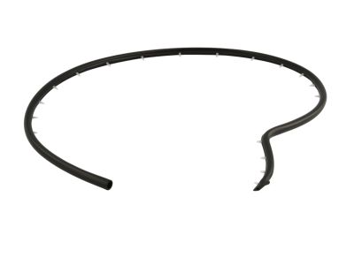 Dodge Viper Weather Strip - 68096403AC