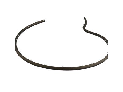 Mopar 68096403AC WEATHERSTRIP-Front Door