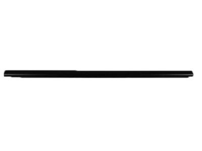 2004 Dodge Durango Weather Strip - 55362095AB