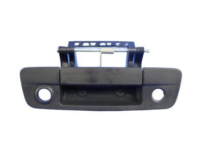 Ram 2500 Tailgate Handle - 68197873AA