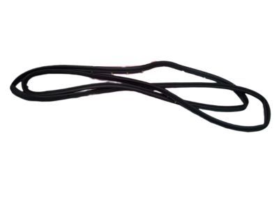 2013 Dodge Dart Weather Strip - 68082802AC