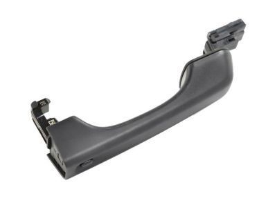 2020 Jeep Gladiator Door Handle - 68307269AC