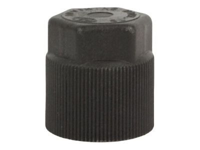 Ram 5500 A/C Service Cap - 5179285AA