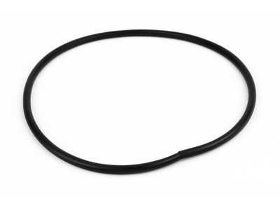 Mopar 1KW36DX9AG WEATHERSTRIP-Rear Door Body Mounted