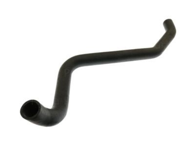 Dodge Ram 3500 Radiator Hose - 52028643AB