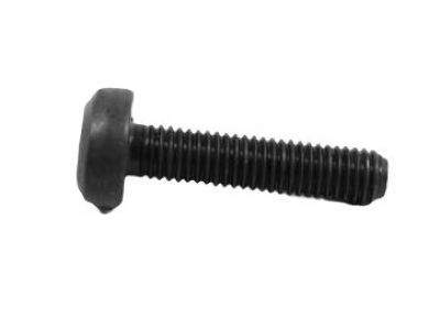 Mopar 68064780AA Screw-TORX Head