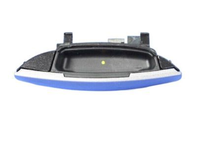 2016 Dodge Charger Door Handle - 1MZ81JSCAG