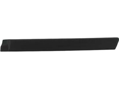 2000 Jeep Cherokee Door Moldings - 5DY19DX9AC