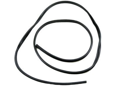 Mopar 68226111AA WEATHERSTRIP-Sliding Door