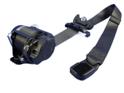 Chrysler 200 Seat Belt - 6DR29DX9AA