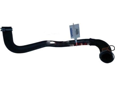 Dodge 4598096AF