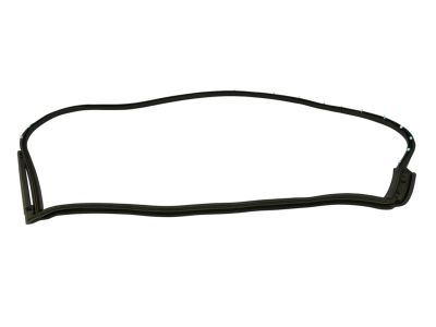 Mopar 68040046AK WEATHERSTRIP-Rear Door Mounted