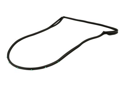 Mopar 68040046AK WEATHERSTRIP-Rear Door Mounted
