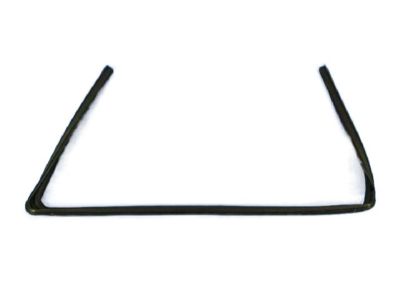 Mopar 5076871AD WEATHERSTRIP-Front Door Glass