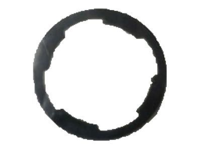 Mopar 68206059AA Gasket-Lock Cylinder