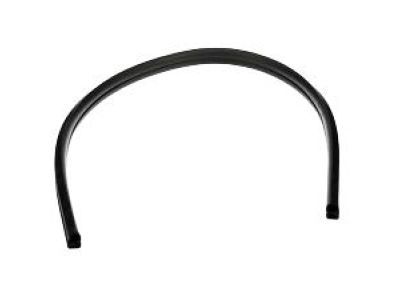 Chrysler PT Cruiser Weather Strip - 4724755AF