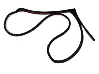 Jeep Weather Strip - 68045992AA