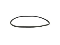 Mopar 68144971AB WEATHERSTRIP-Rear Door Body Mounted