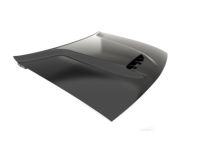 Mopar 68259671AG Hood Panel