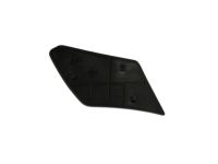 Mopar 5NP60DX9AA Cover-Release Handle Bezel